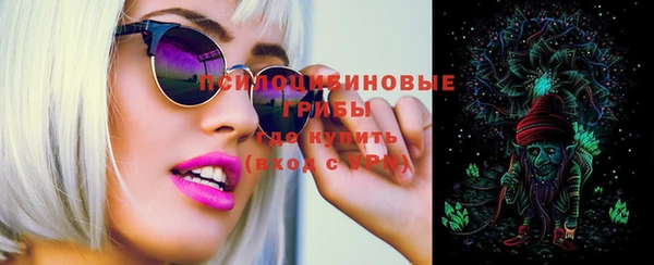 дурь Алзамай