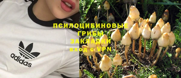 стаф Алексеевка