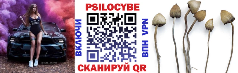 Псилоцибиновые грибы прущие грибы Кулебаки