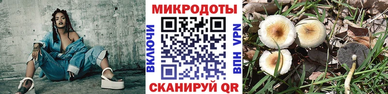 Псилоцибиновые грибы Magic Shrooms  Кулебаки 